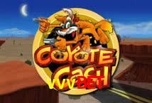 Crash Games Strategies vvvbet